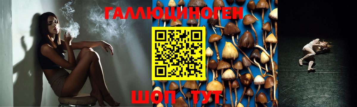 дарнет шоп  Вход с VPN  Бугуруслан  Галлюциногенные грибы Psilocybine cubensis 